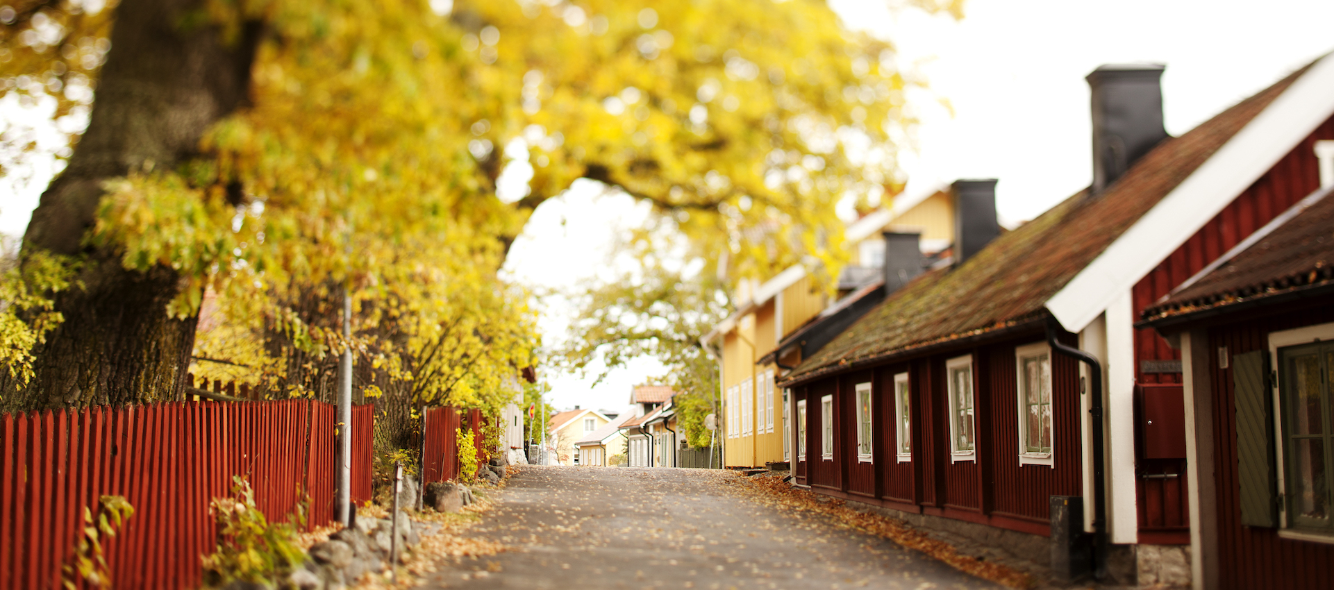 Host_i_Sigtuna_Foretagre_1920x850